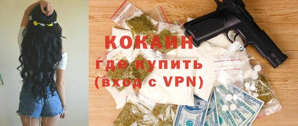 дживик Алексин